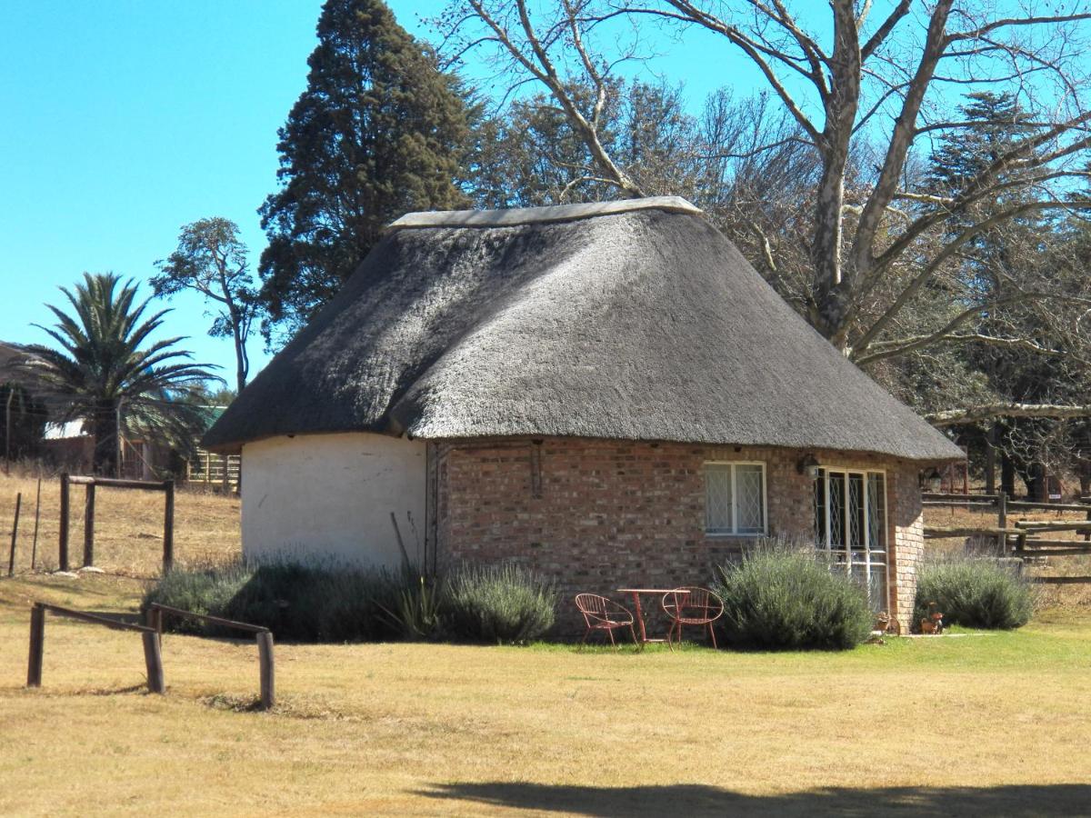 One-Bedroom Bungalow