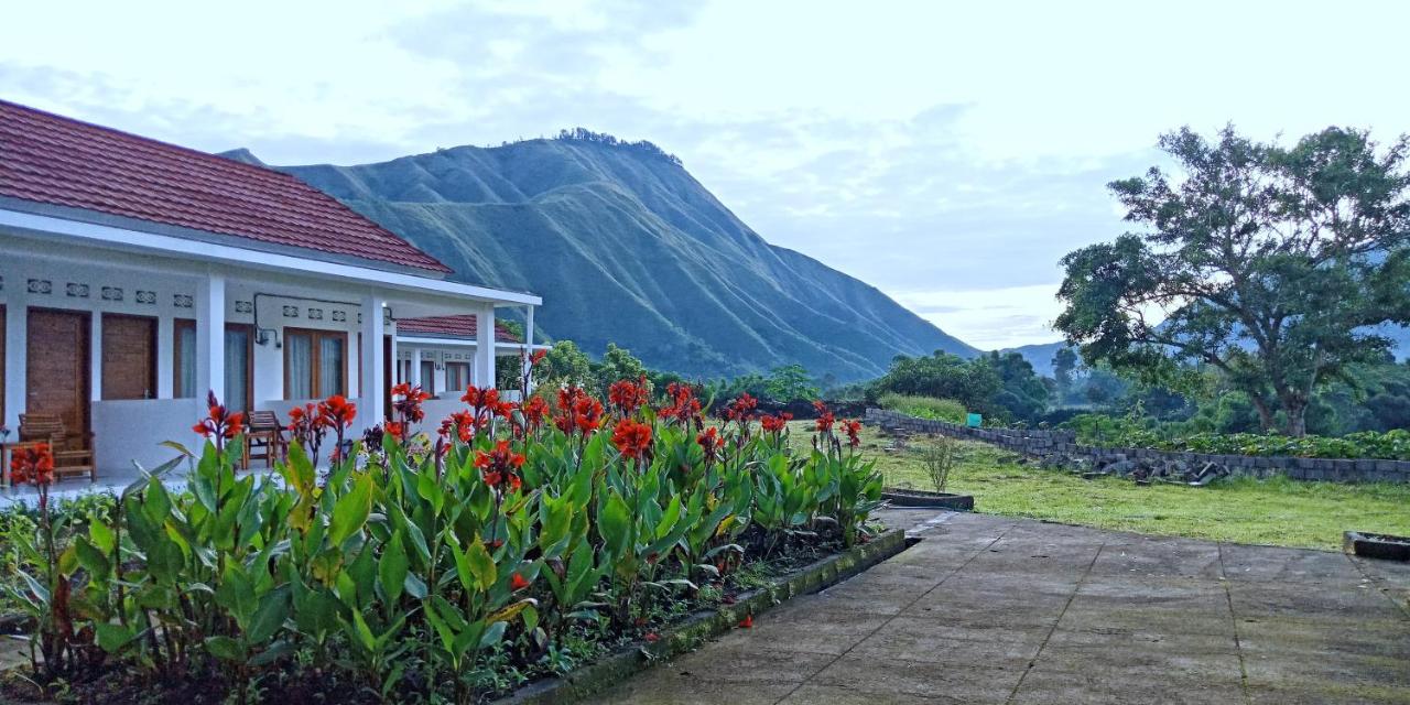 B&B Sembalunlawang - Rinjani Hill Hotel - Bed and Breakfast Sembalunlawang