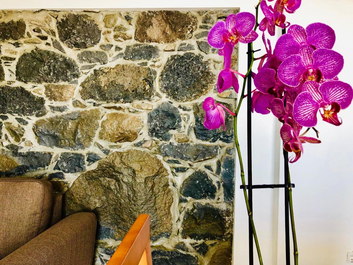 Villa da Bisa with heated swiming pool - Ferienwohnung Arco da Calheta, Madeira