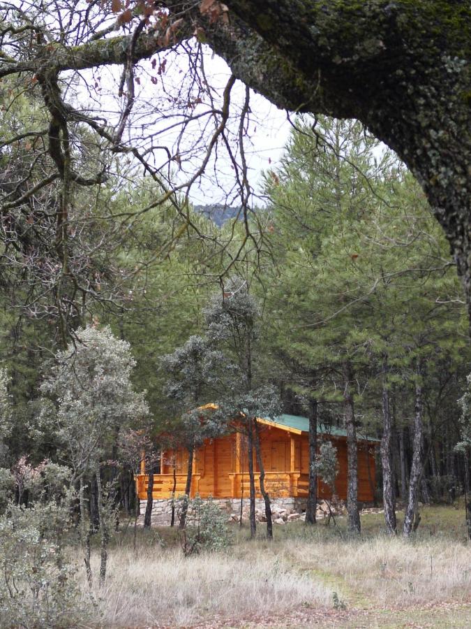 Wood Cabin (5-6 adults)
