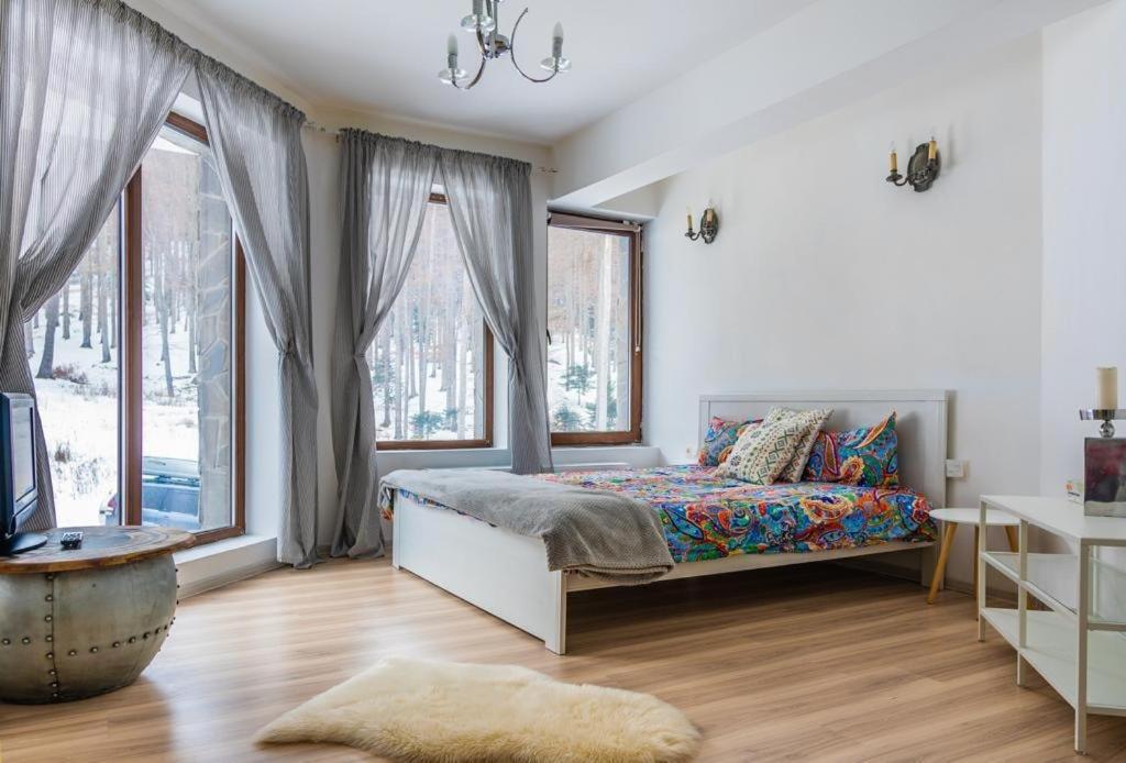 Vila Mama Jana - Bed and Breakfast Buşteni