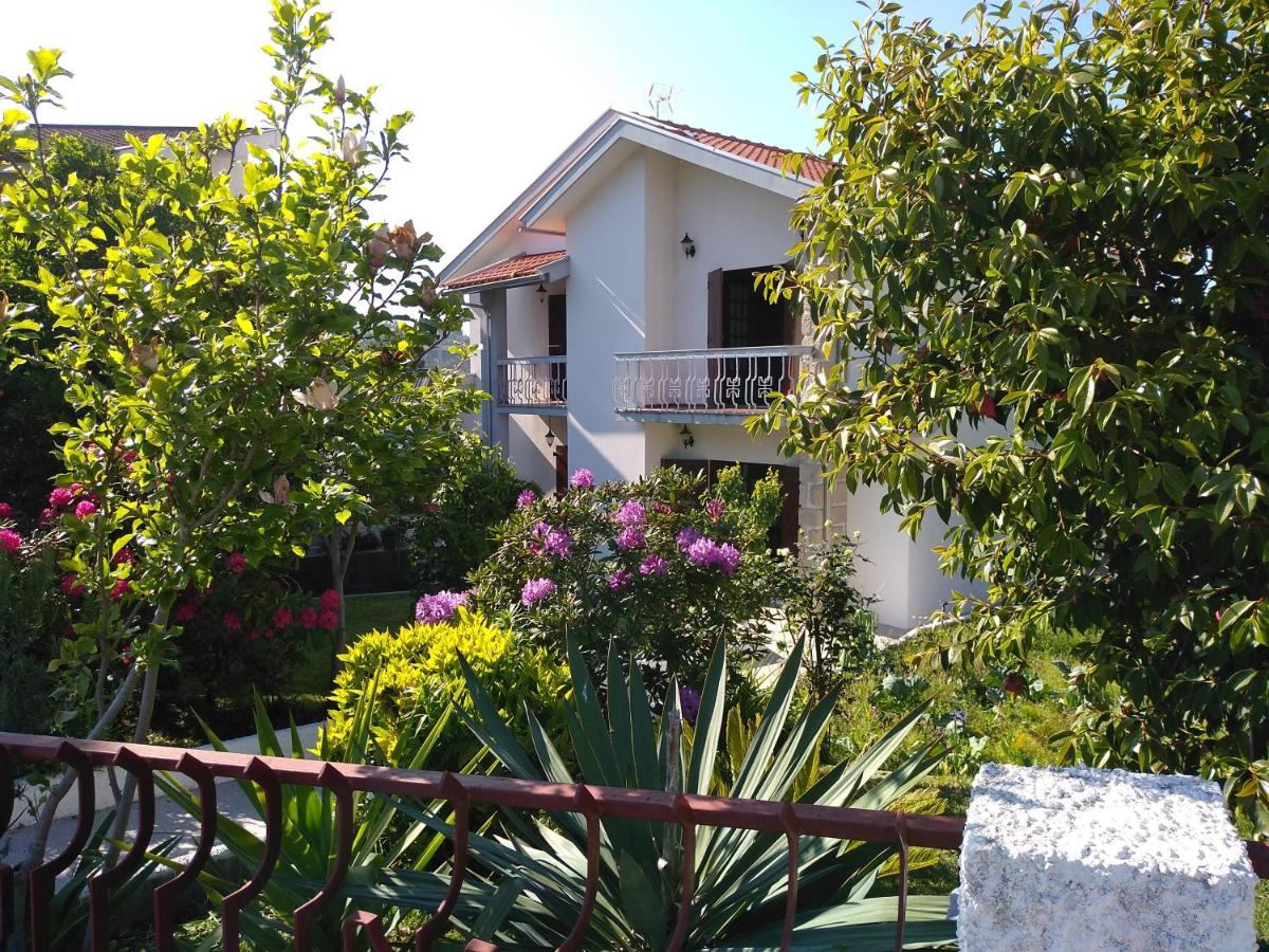 Casa da Piedade, Vouzela - B&B