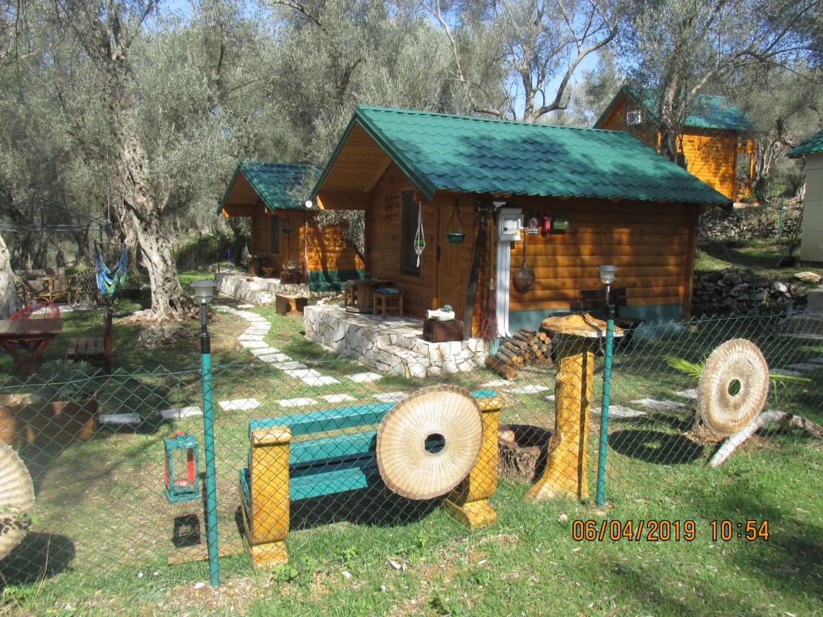 Appartamento con Vista Giardino