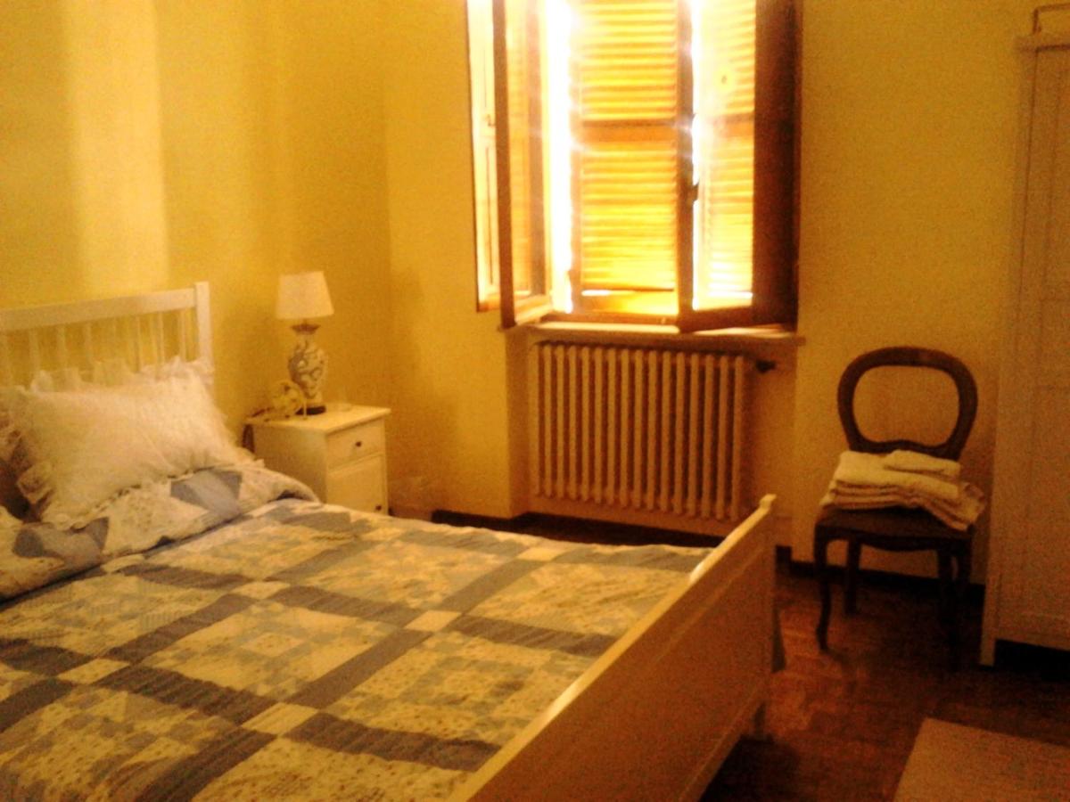 Oak Tree - B&B Montefelcino