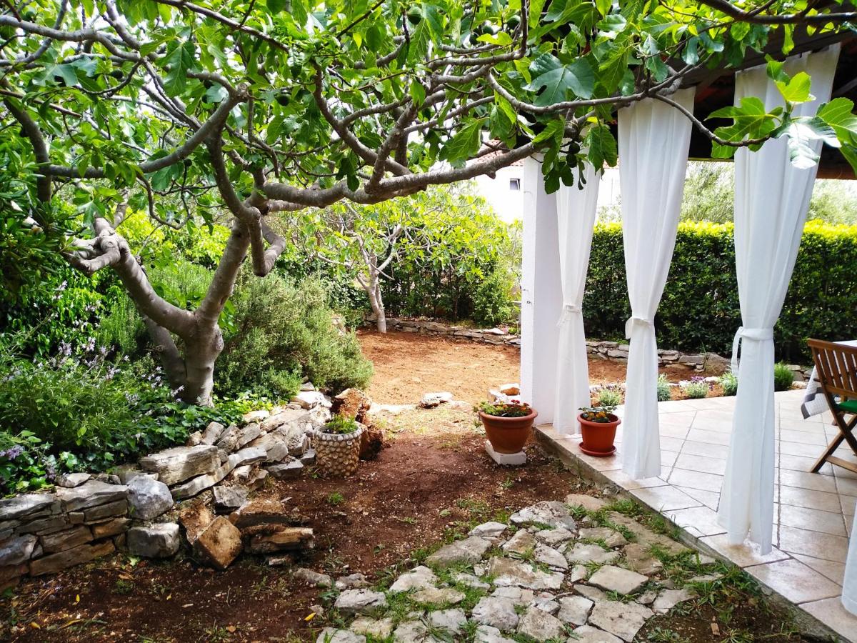 Holiday Home Willy - Ferienwohnung Milna