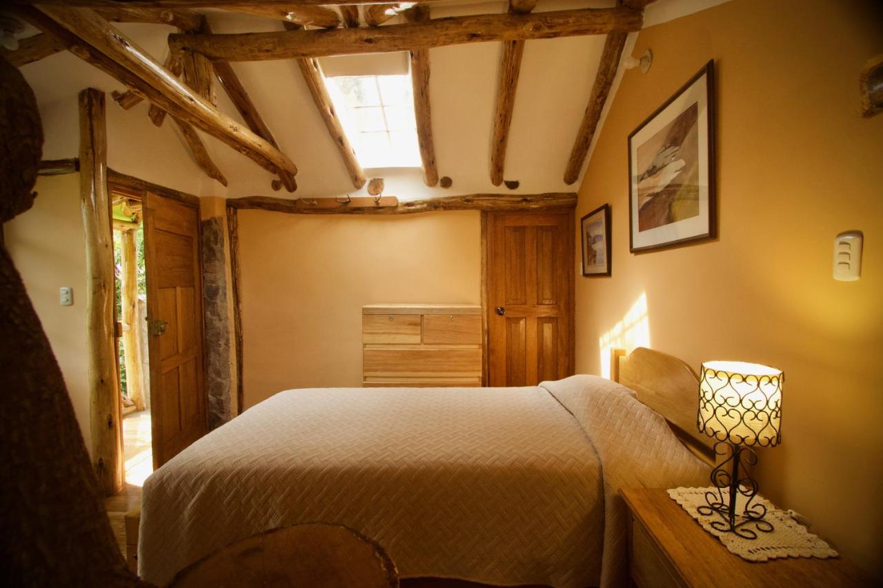 Twin Room with View