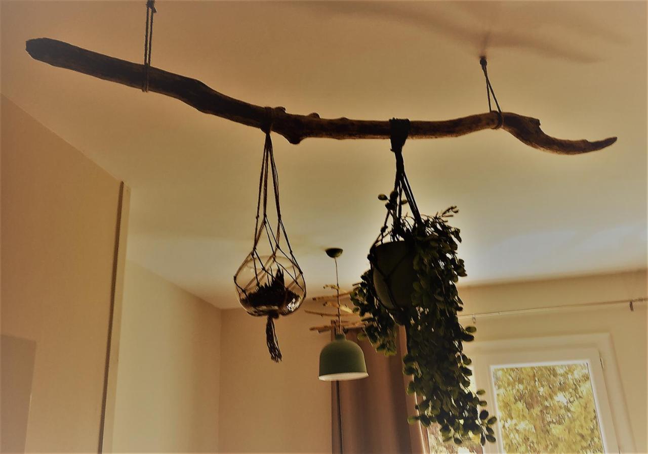 Studio with Garden View