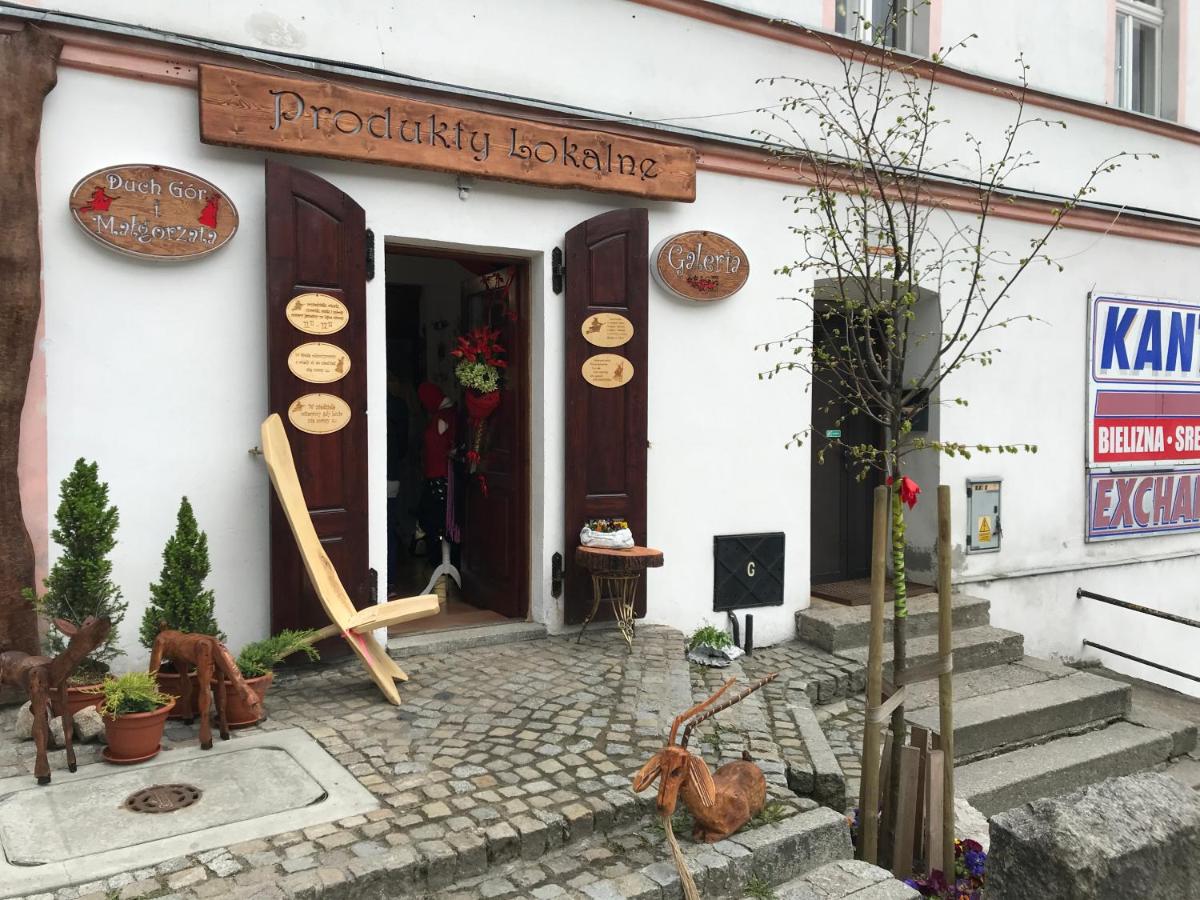 Gór-SKI Apartament - B&B