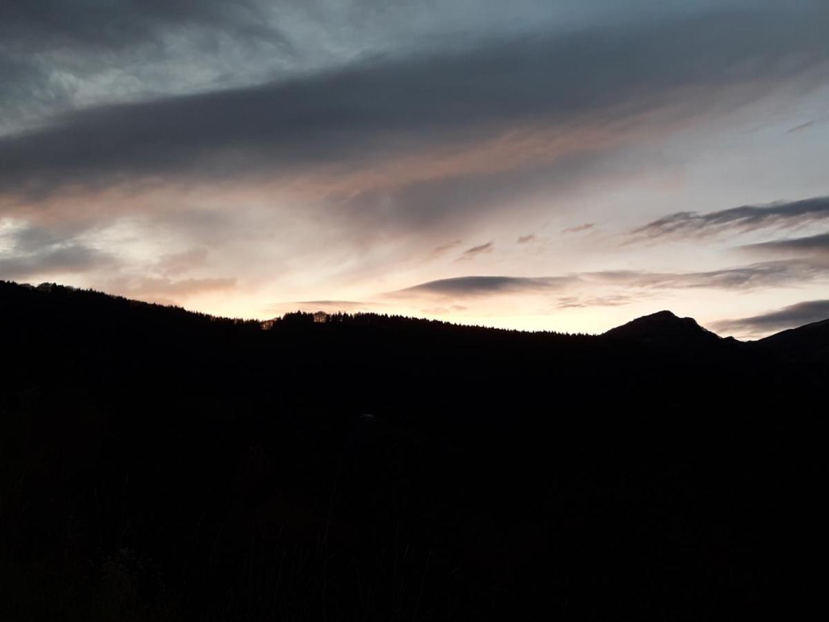 Residenza il bosco - B&B