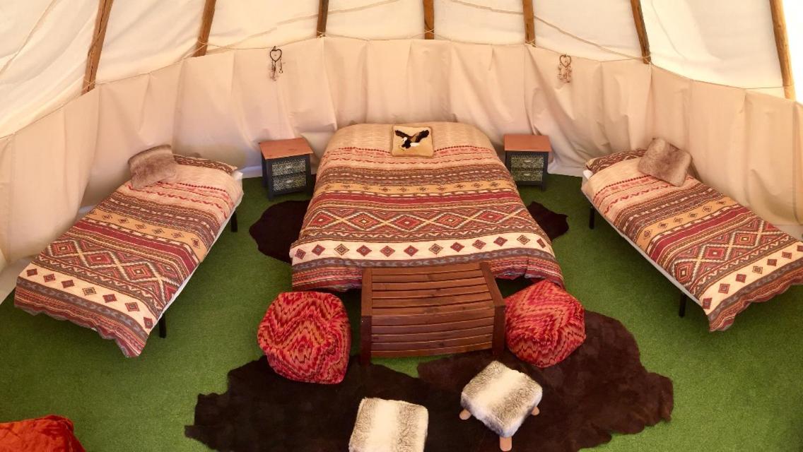 Tipi