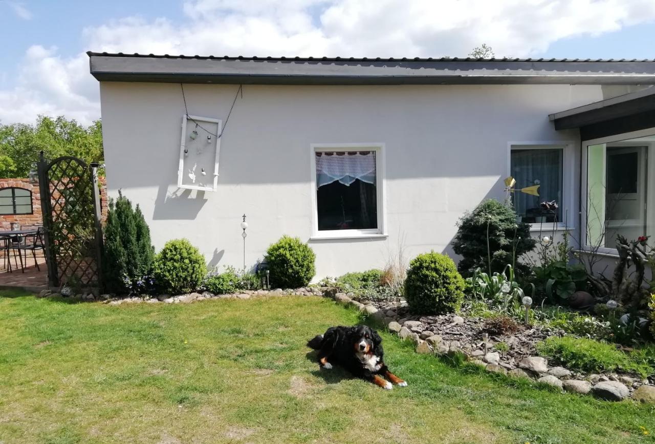 Ferienwohnung Zur Alten Schule - Chambres d'hôtes Pritzwalk
