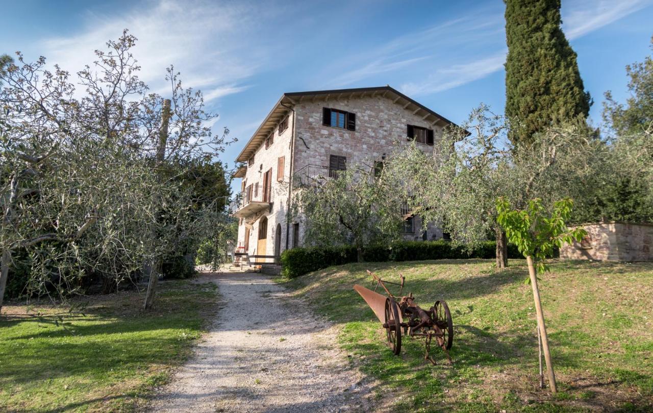 La Piaggia - B&B