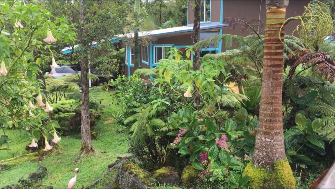 Ixchel Hawaii Volcano - B&B Volcano Village