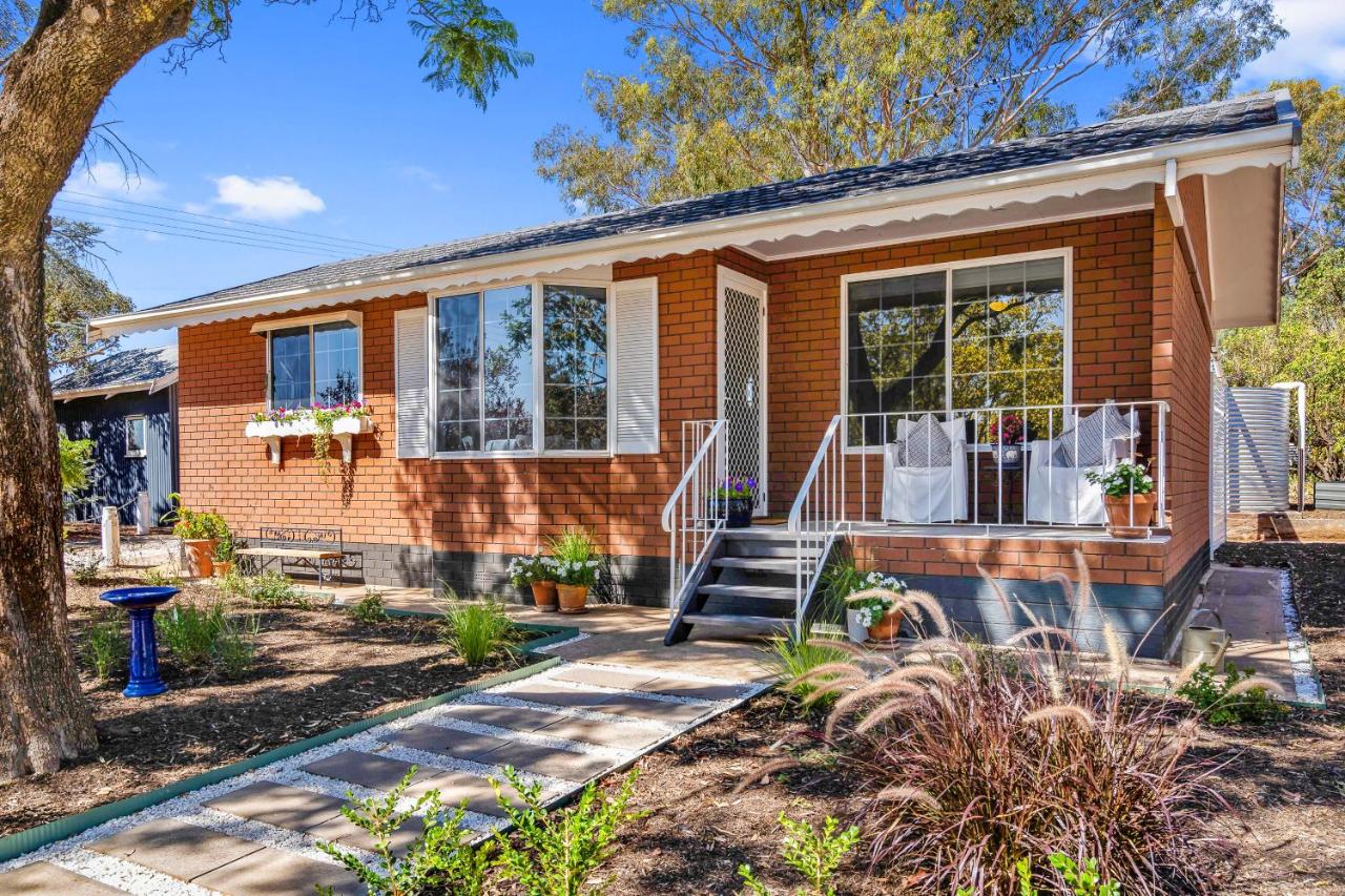 'In The Vines' Guest Cottage, Barossa Valley - B&B