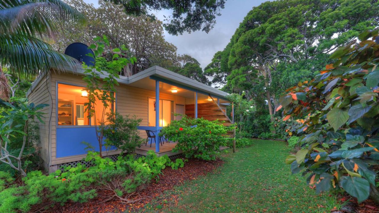 The Broken Banyan - B&B