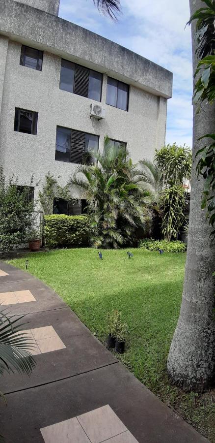 Las Palmeras - B&B
