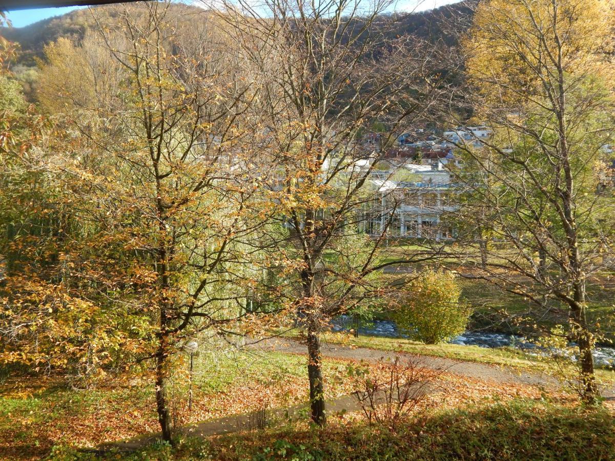 FREE Apartment - Burgblick - B&B