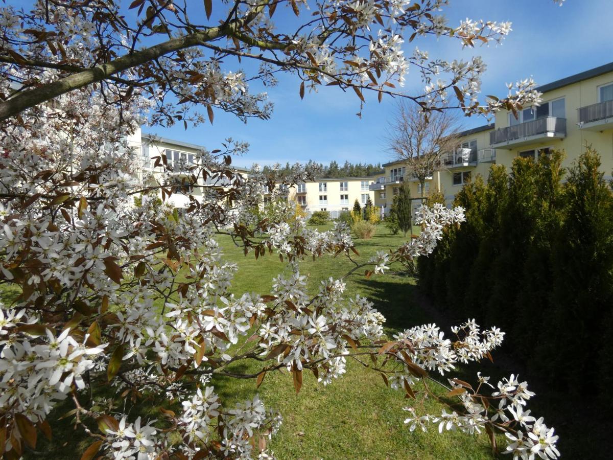 Studio Apartment North