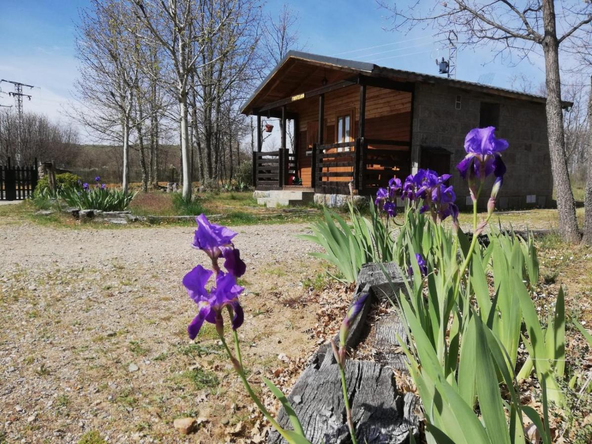 One-Bedroom Bungalow