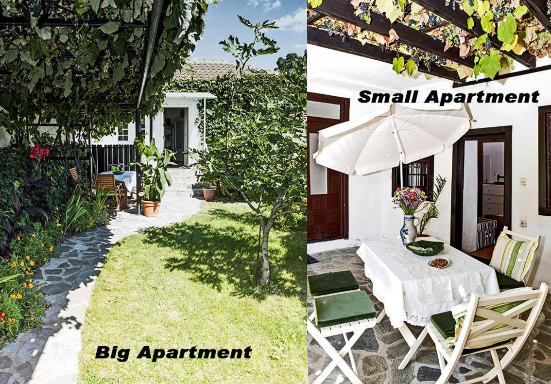 Apartments Villa Elisabeth - B&B