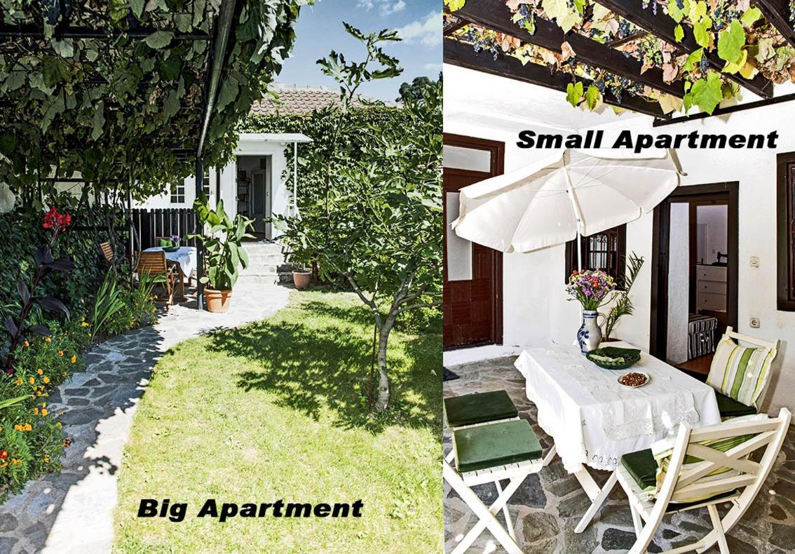 B&B Ocrida - Apartments Villa Elisabeth - Bed and Breakfast Ocrida