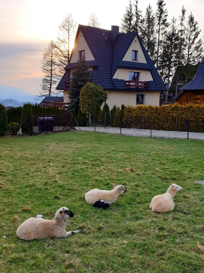Maisonette mit 2 Schlafzimmern und Bergblick - 2. Etage