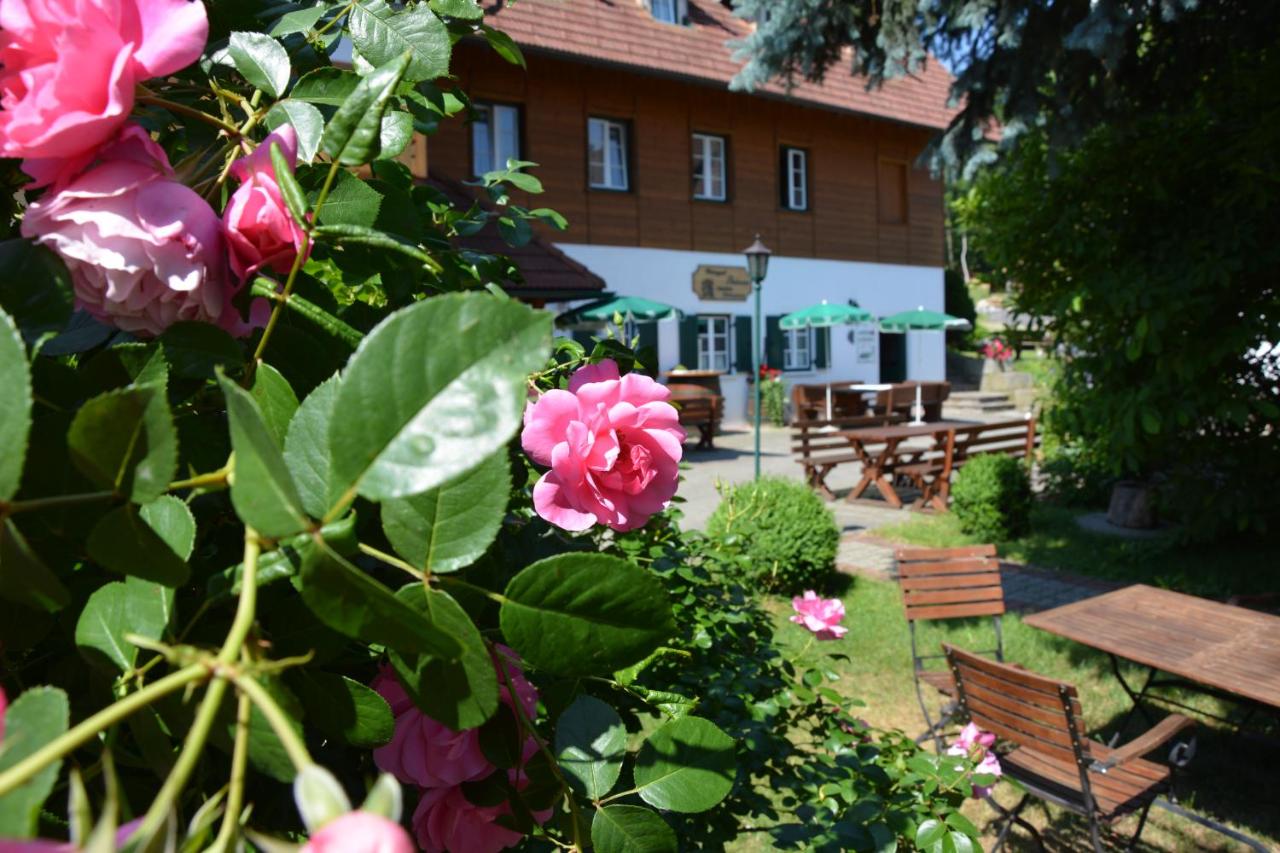 Weingut Seiner vlg. Kraxner - Ferienwohnung Greisdorf