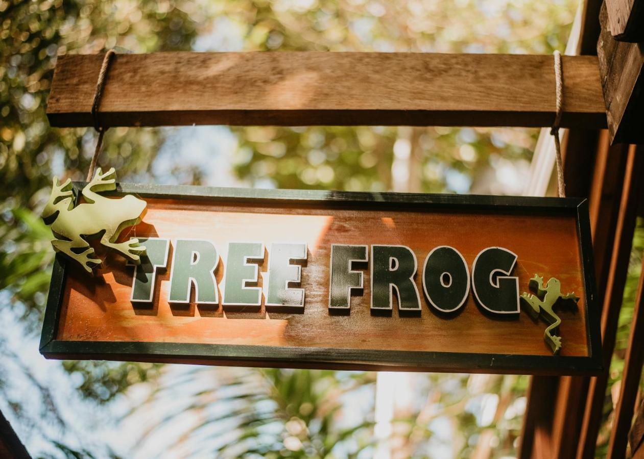 Camera Matrimoniale Deluxe Tree Frog con Vista Mare