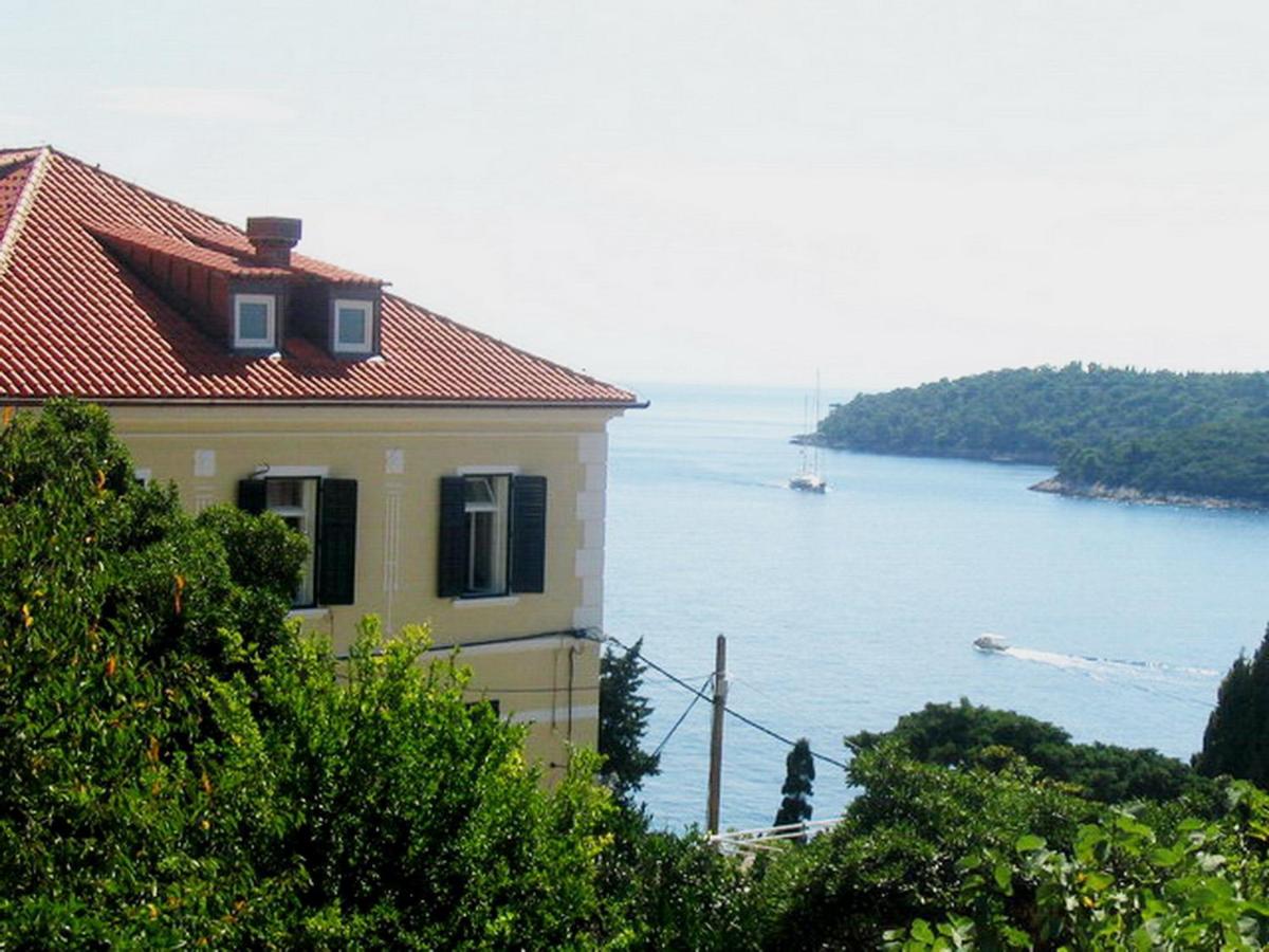 apartment NIKO 5 min to center - Chambres d’hôtes Dubrovnik