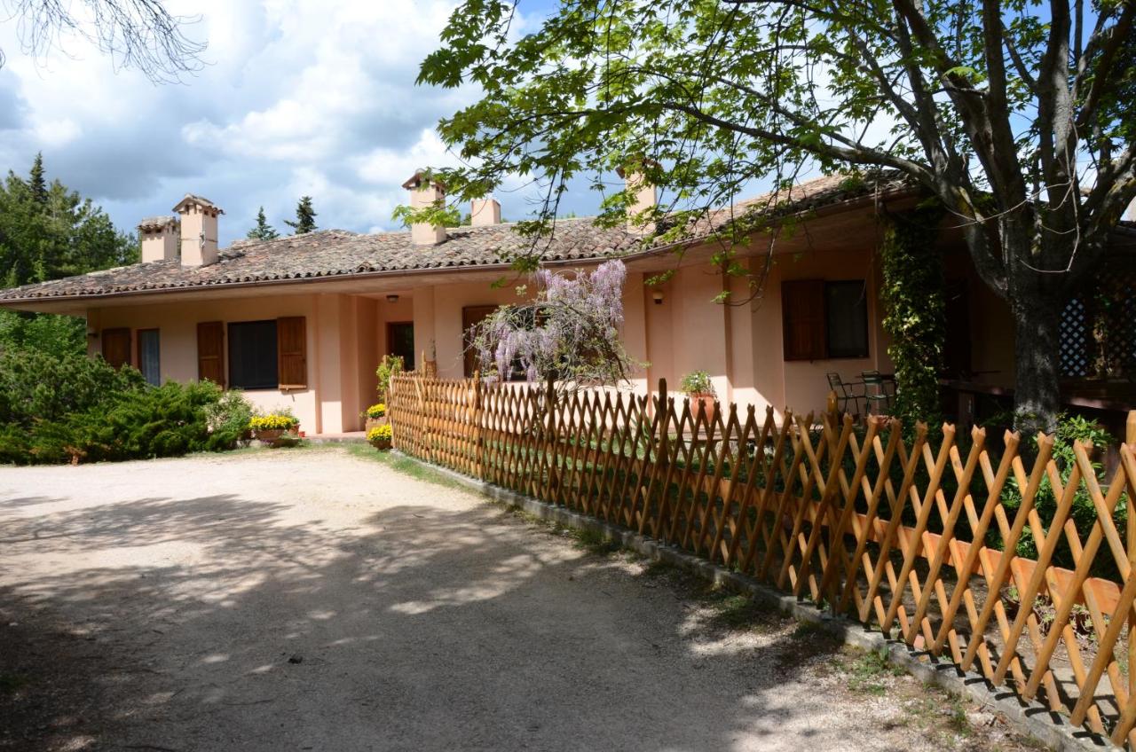 B&B San Severino Marche - Le ginestre - Bed and Breakfast San Severino Marche