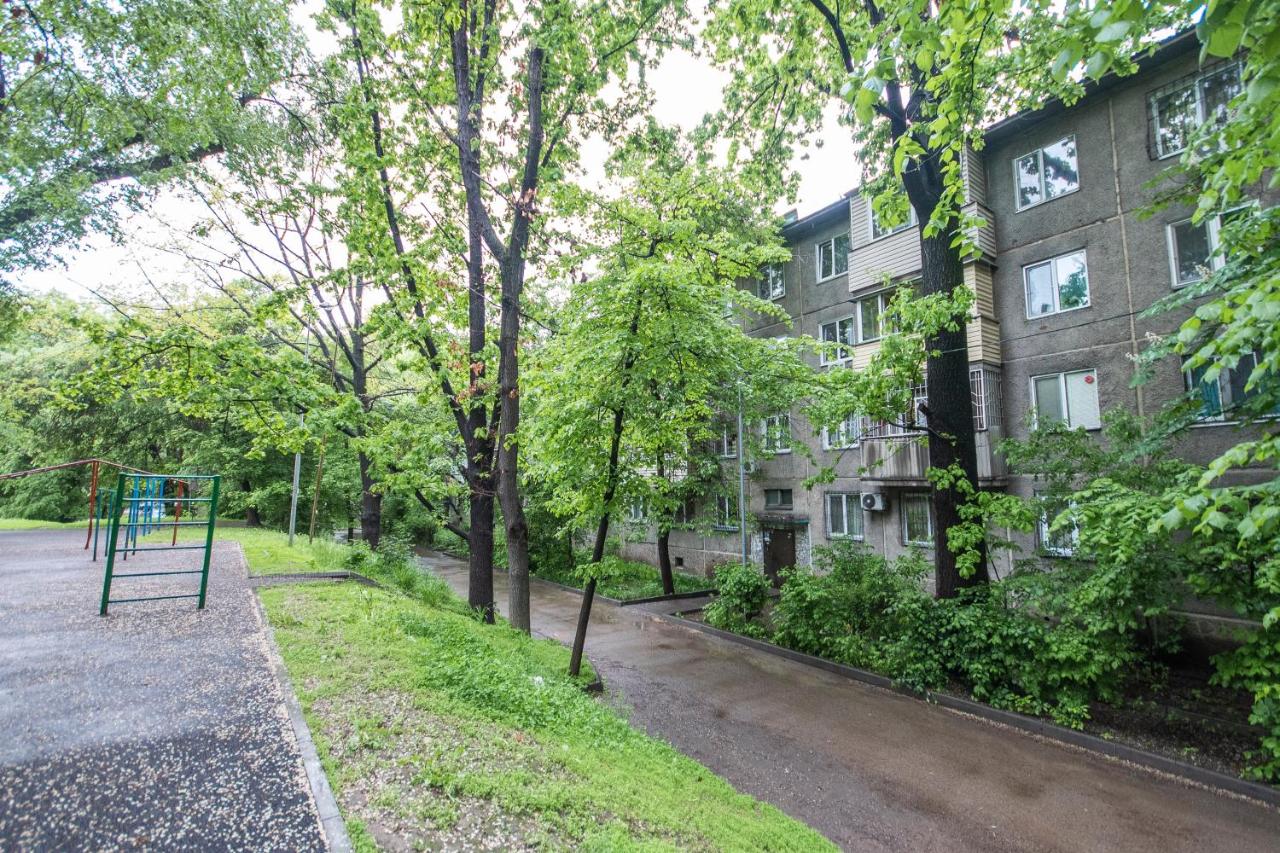 Cozy, clean apartment in Almaly district 29 - B&B