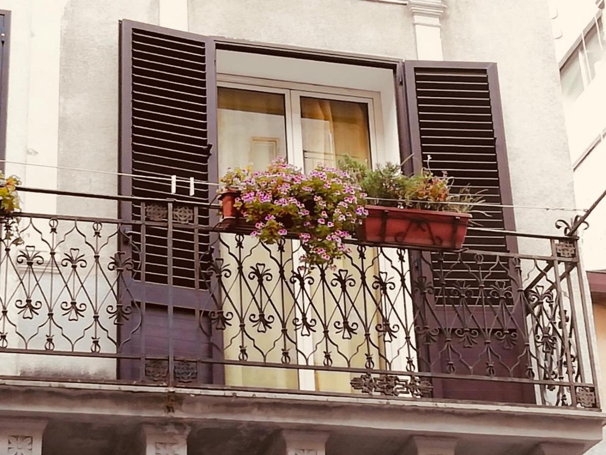 il geranio blu - B&B