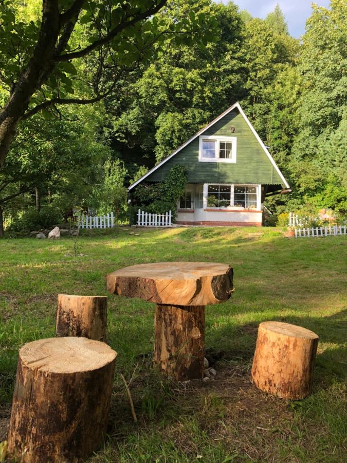 Eco-Rajka Nowy Gierałtów 17 b - Ferienwohnung Nowy Gierałtów