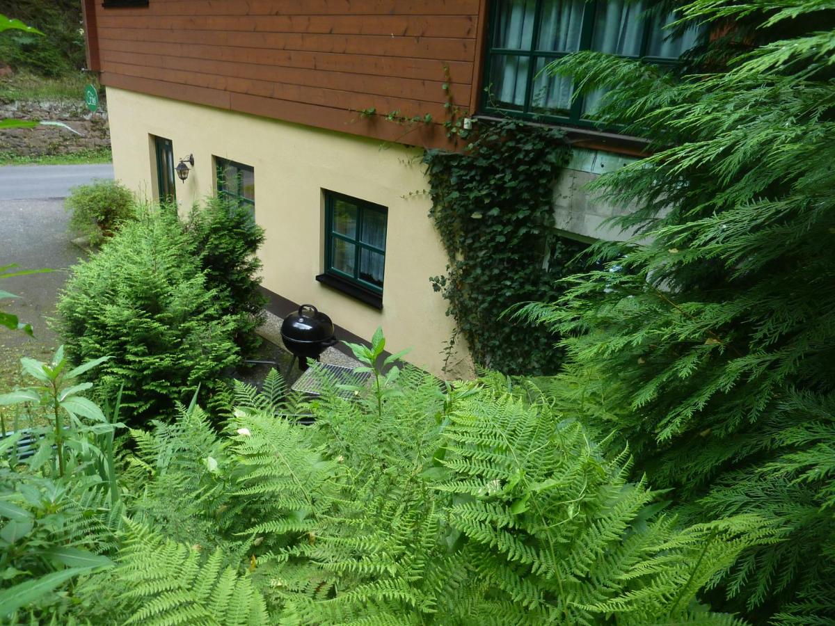Ferienwohnung UHU neben der Schrammsteinbaude - Ferienwohnung Bad Schandau