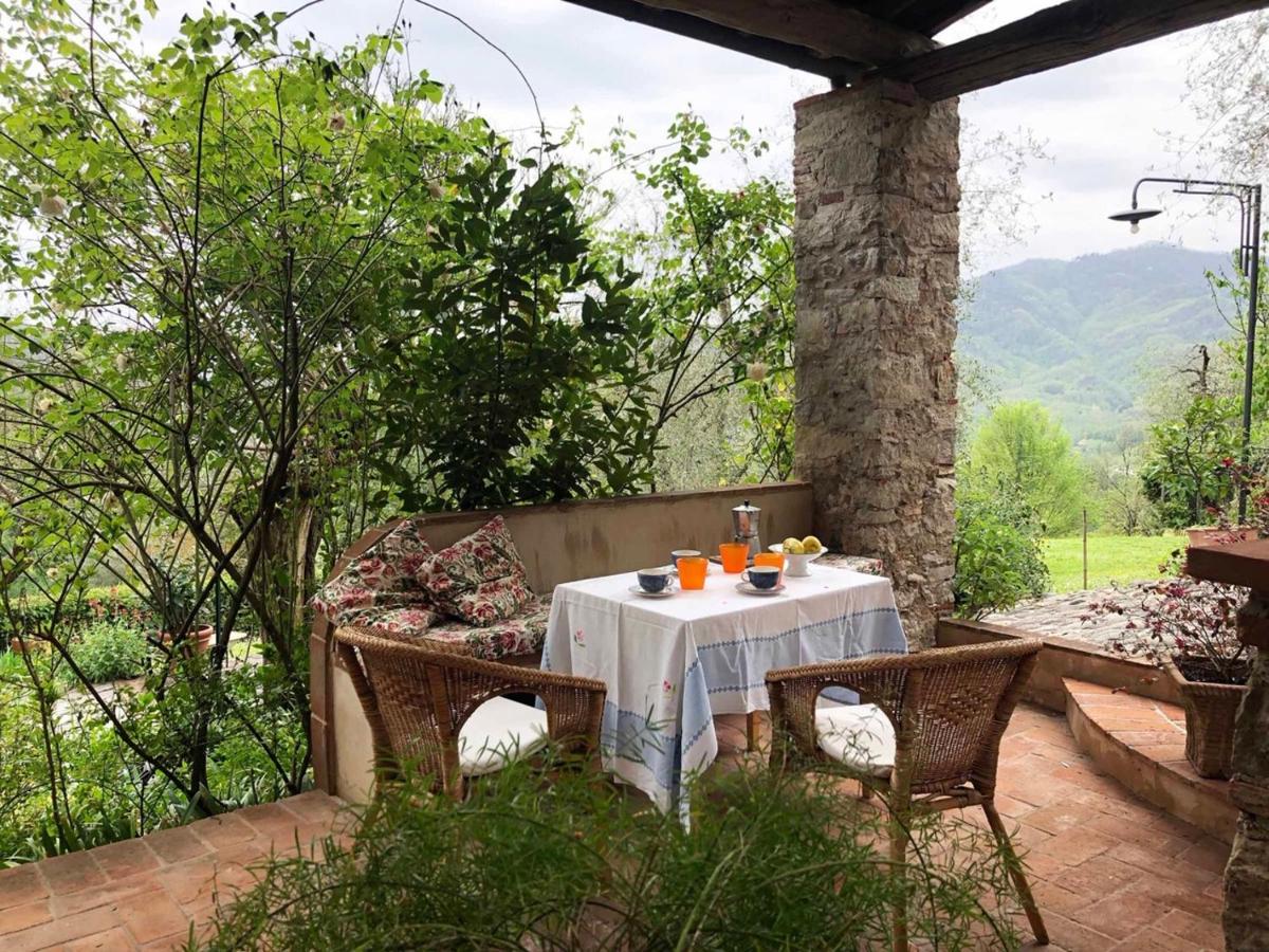 B&B Lucca - Il Capriolo - Bed and Breakfast Lucca