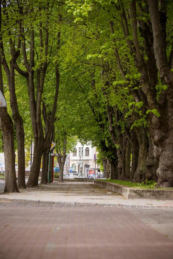 Dviejų kambarių butas Klaipėdos centre - B&B Klaipėda