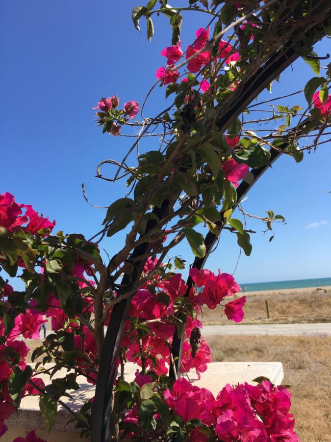 Beach flat with garden - B&B