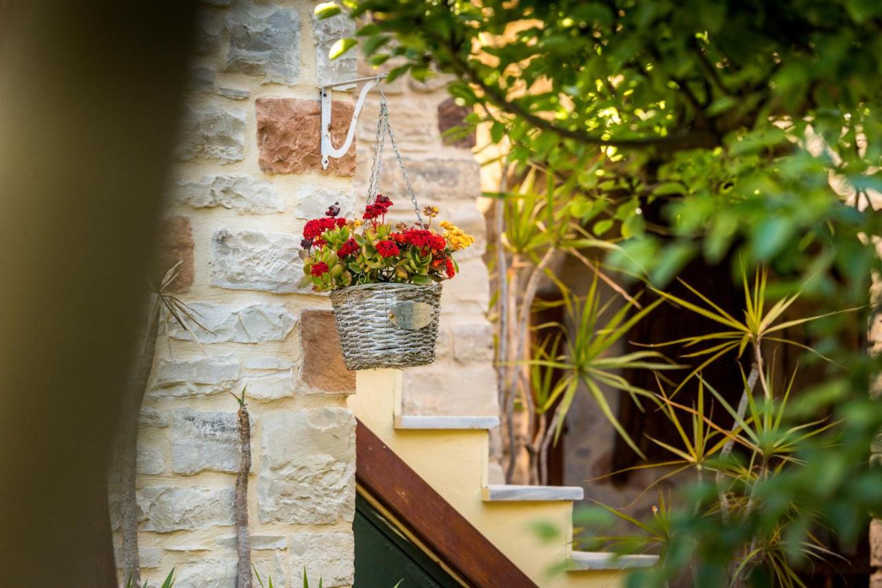 Lakoudia - B&B Pitsídia