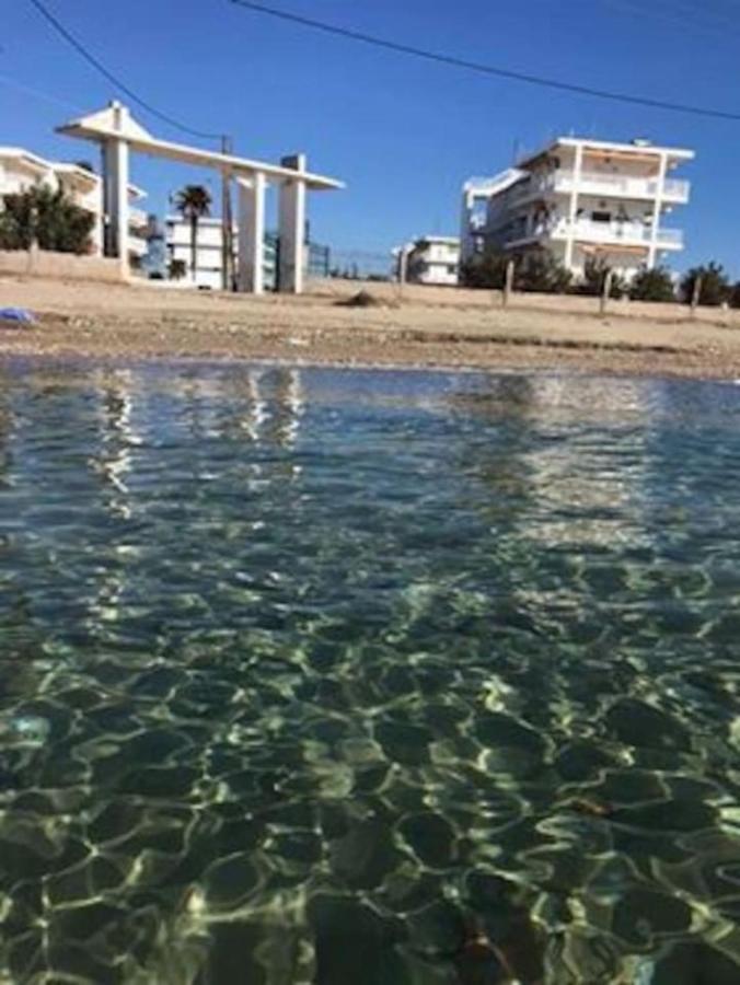 KORALI APPARTMENT BY THE SEA - Chambres d'hôtes Néa Plágia