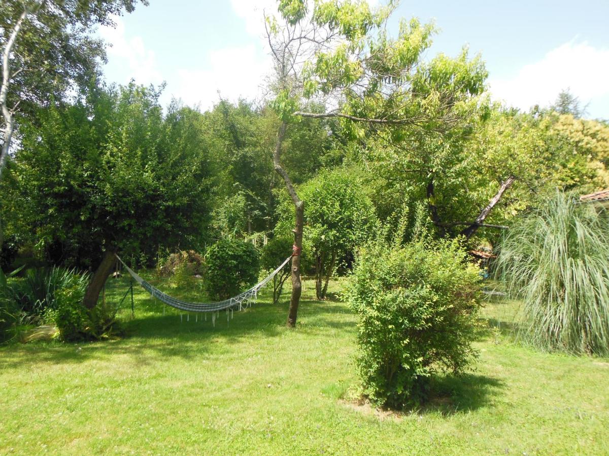 Maison dans un ecrin de verdure au pied de la ville - B&B Auch
