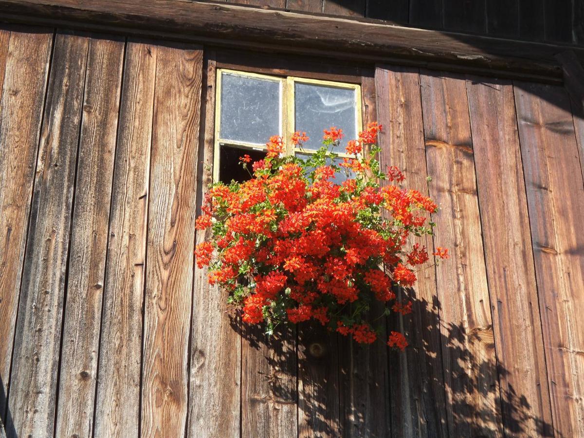 Steierhof - B&B Feldthurns