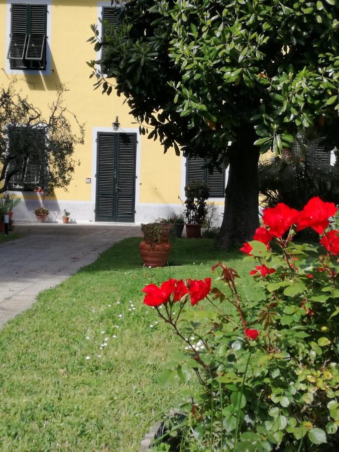 B&B Lucca - Casa Magnolia - Bed and Breakfast Lucca