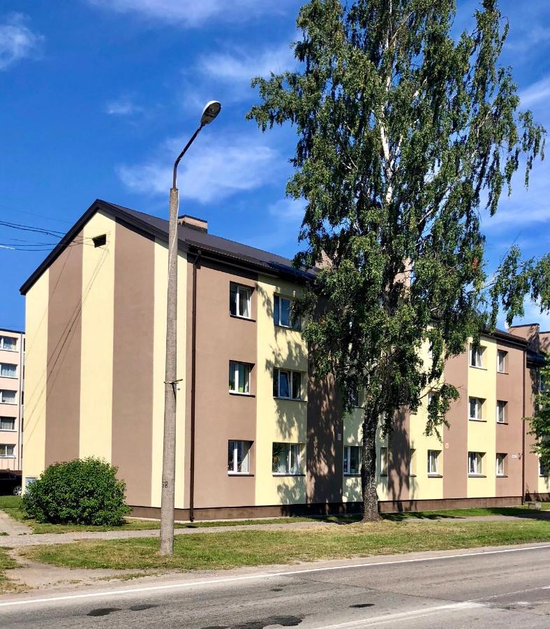 Mājīgs dzīvoklis Salacgrīvā - B&B