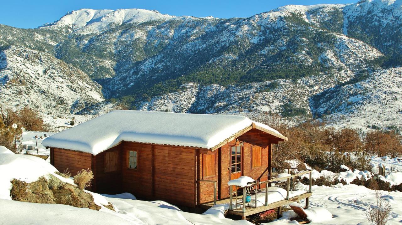 Two-Bedroom Chalet