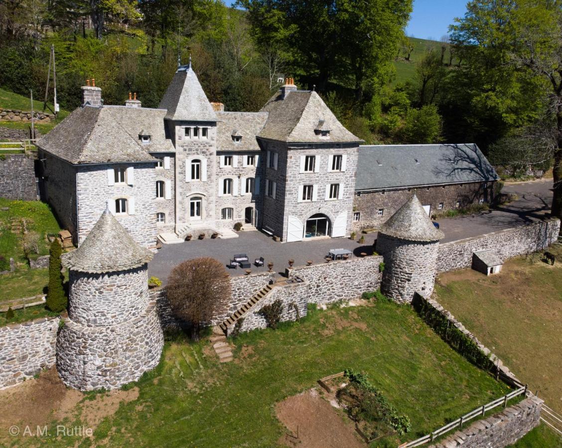 B&B Curières - Château du Puech - Bed and Breakfast Curières