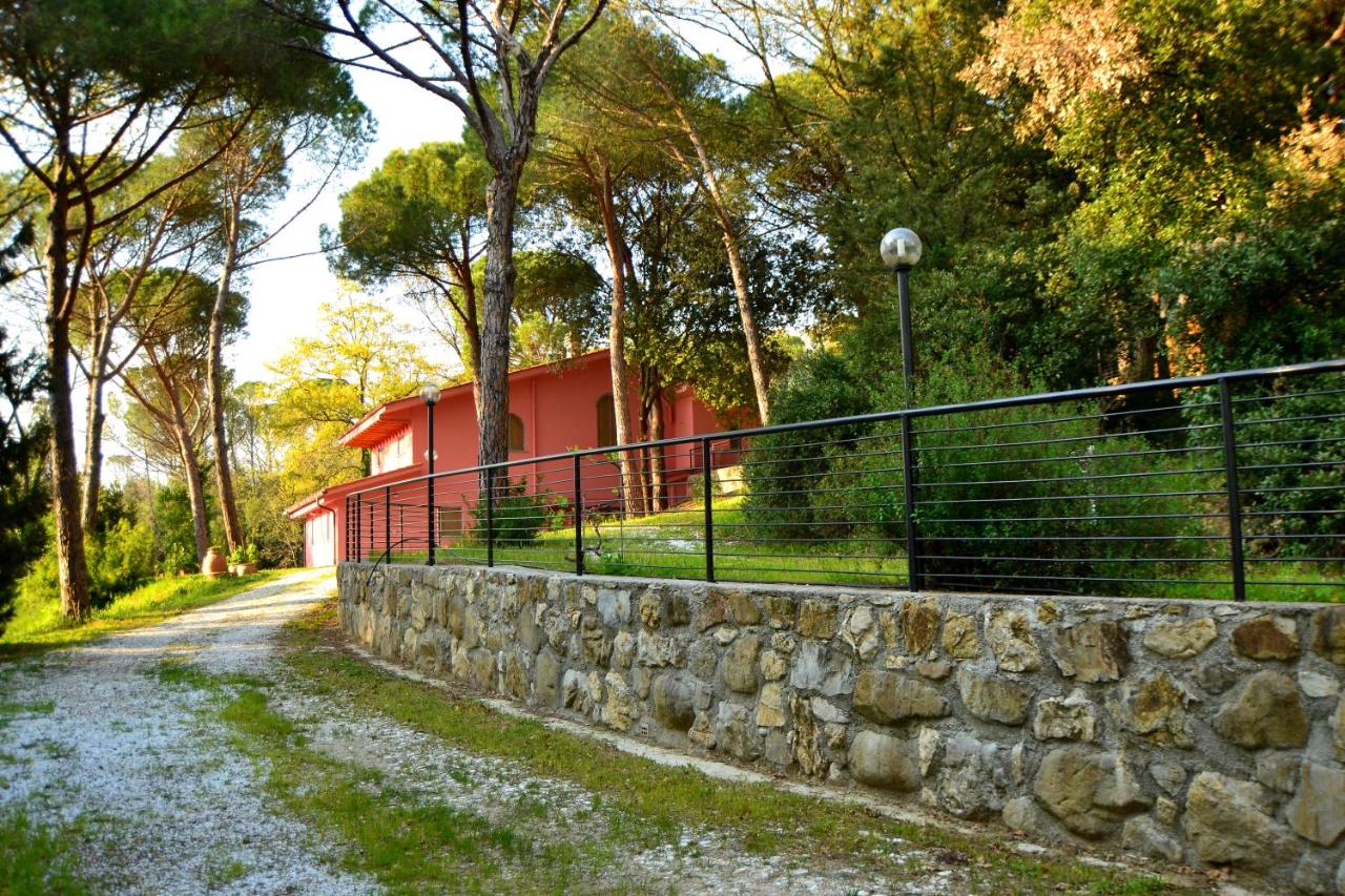 B&B Montelupo Fiorentino - Agriturismo Poggio al Pino - Bed and Breakfast Montelupo Fiorentino