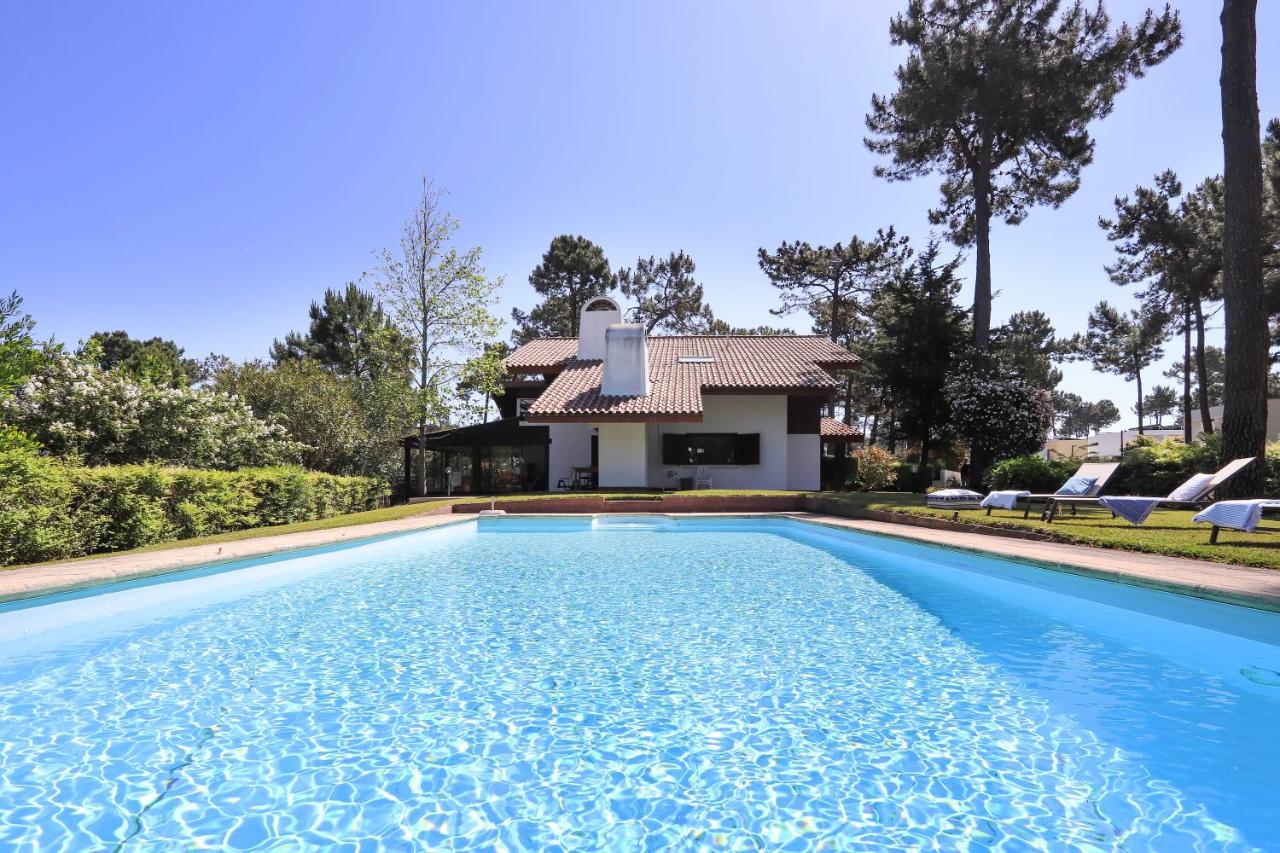Casa do Ourives - Renewed - B&B
