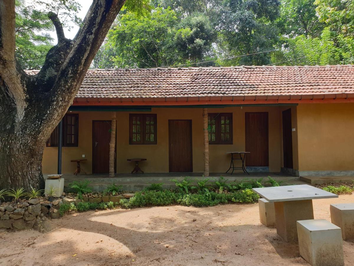Nature Hub Koslanda - B&B