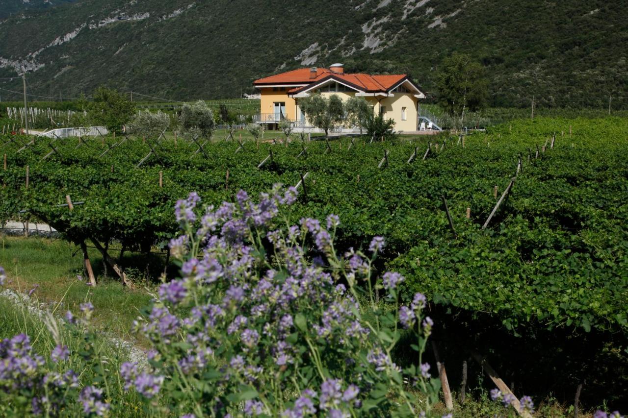 B&B Dro - Appartamenti Al Vigneto - Bed and Breakfast Dro