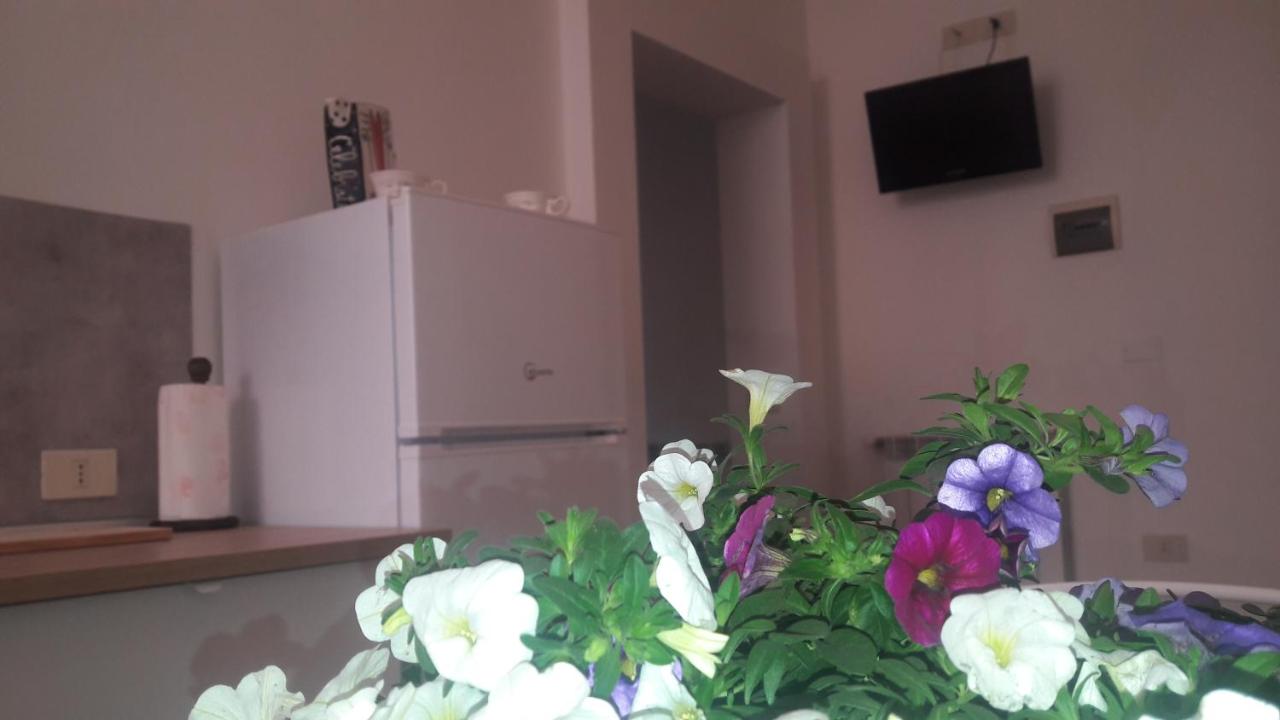 B&B Grosseto - Grifo Apartment - Bed and Breakfast Grosseto